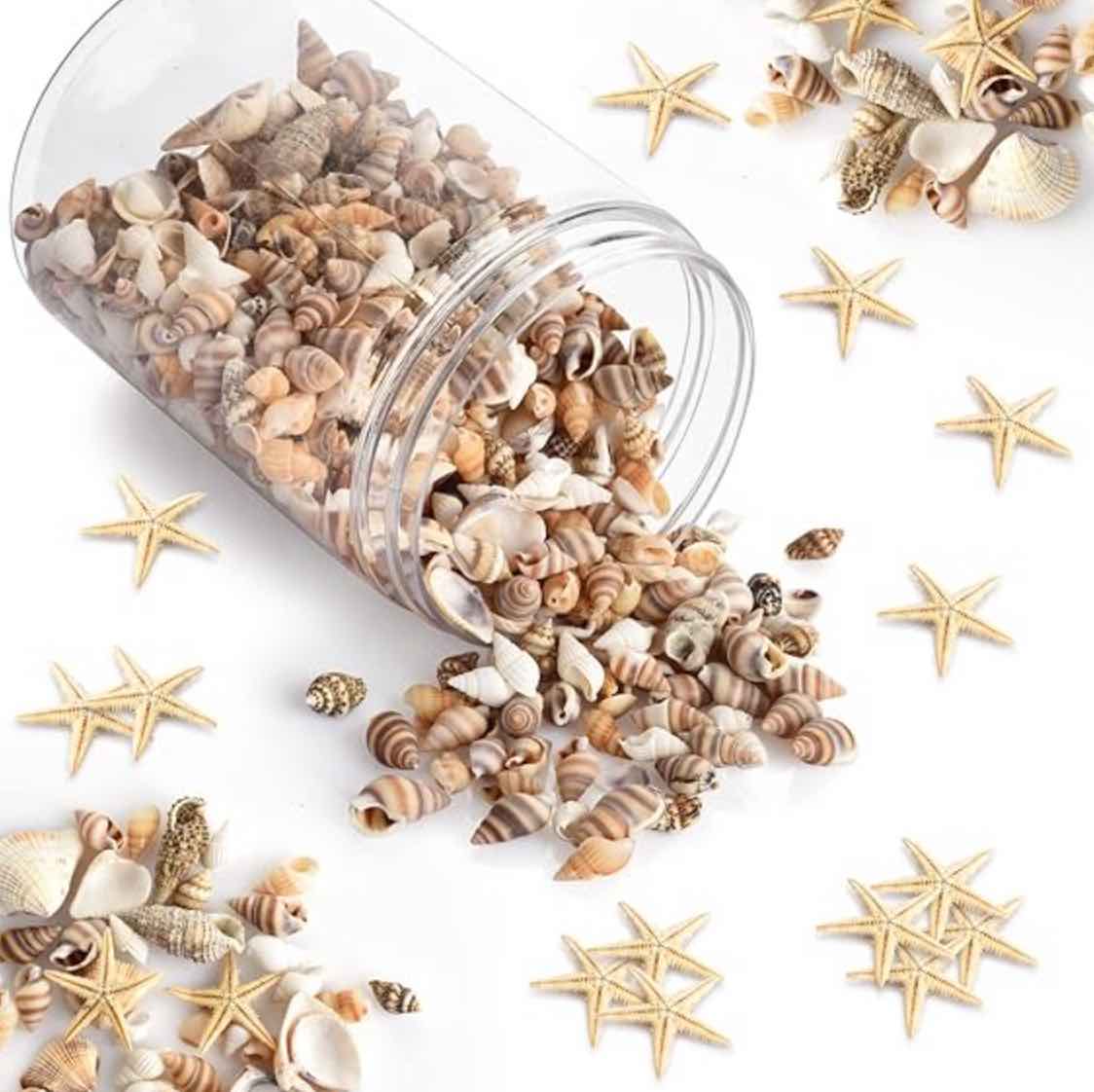 Real Seashells Florida Beach Weddings Destination Weddings